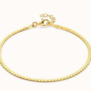Serpentine Chain Necklace