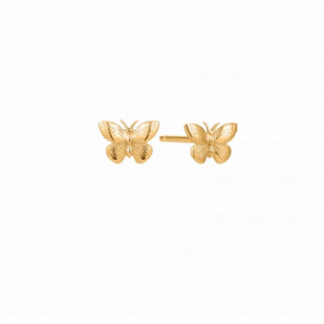 10K Gold Butterfly Earrings