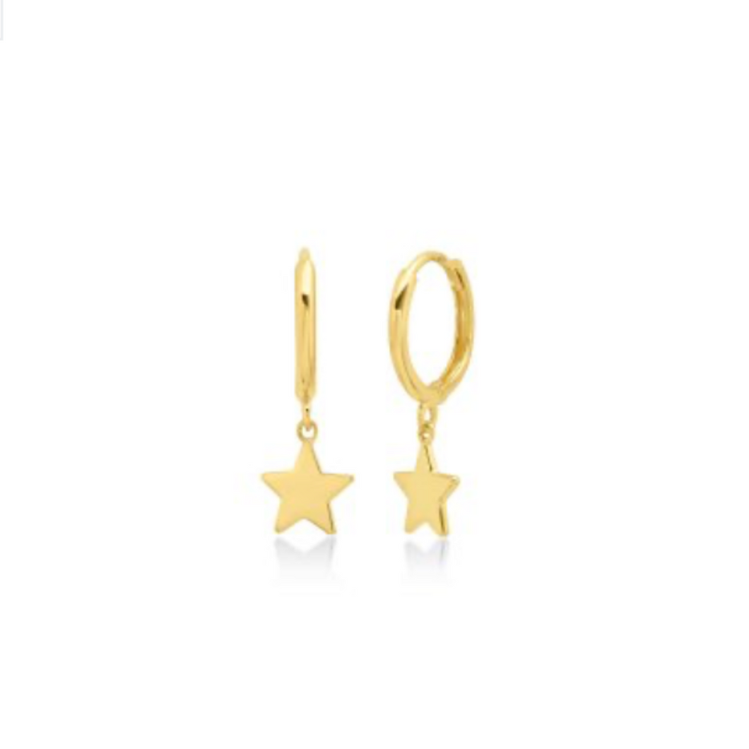 10 K Gold Emily Earrings