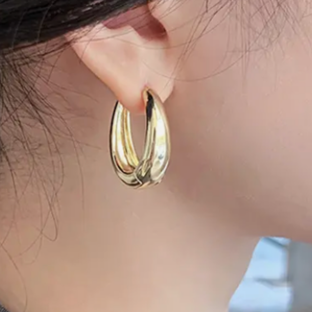 Oval Shape Earrings
